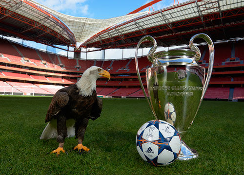 中占据了一 中占据了一