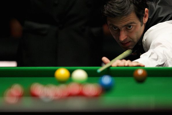 爱好者和职 爱好者和职