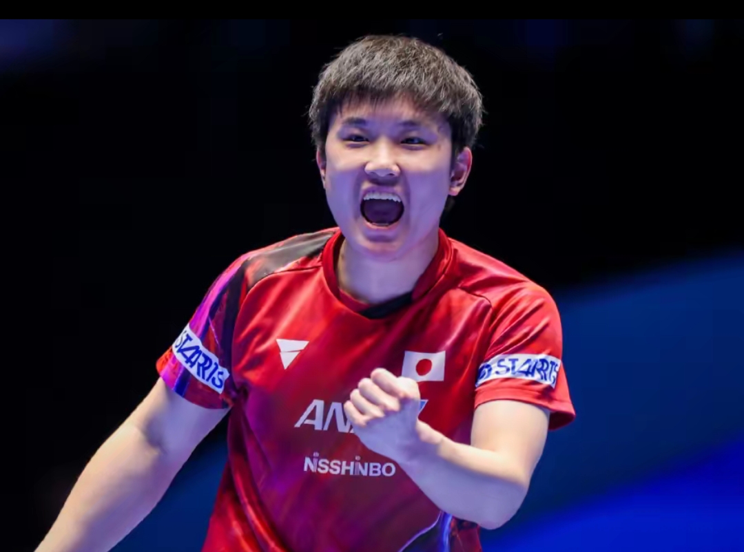 的一大亮点 的一大亮点