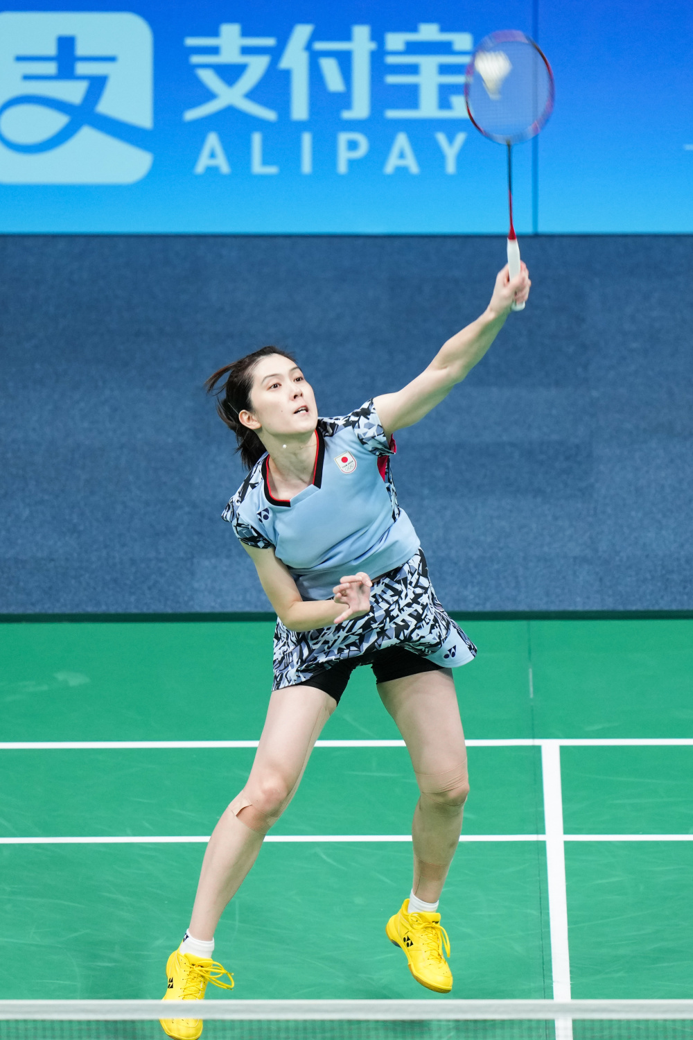 的新手引导 的新手引导